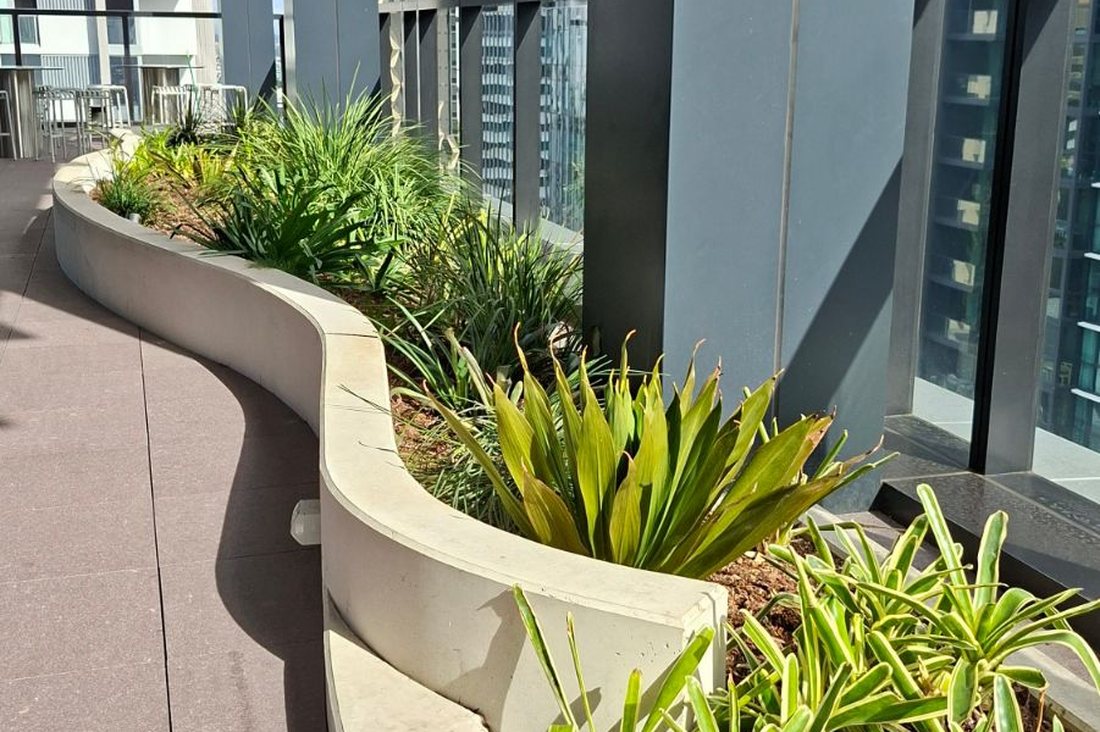 Midtown Centre — curved rooftop planter with ornamental grasses and CBD towers behind
